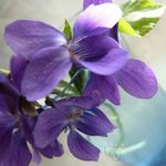 verenchen - @verawade6450 - Instagram