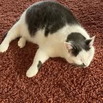 Vera Wahl - @schnurri3105 - Instagram