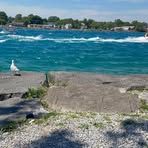 Vera Walsh - Facebook