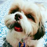 Vera Watson - @verawatson47 - Instagram