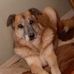 Vera Watts - Facebook