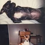 Vera Webber - @webbiduck - Instagram