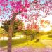 Vera Weiss - Facebook