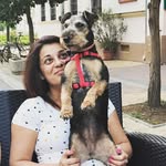 Verácska🐶🐾 - @vera_welshterrier - Instagram