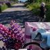 Vera Wendt - Facebook