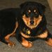 Vera Westbrook - Facebook