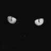 Veron Wickham938 - @veronwickham938 - TikTok
