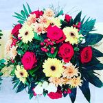 Vera Wilhelm - @vera.wilhelm.524 - Instagram