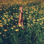 Vera Williams - @satomi_vera_williams - Instagram