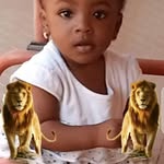 Vera Williams - @verawilliams561 - Instagram