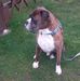 Vera Wolff - Facebook