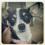 Vera Wright - @vera.wright.3745 - Instagram