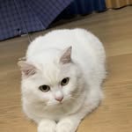 vera yip - @yip.vera - Instagram