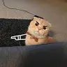 Vera Zhang - @vee_0405 - TikTok