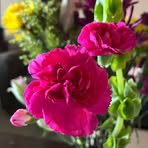 Vera Zhang - Facebook