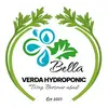 BELLA VERDA HYDROPONIC - @bellaverdahydroponic.id - TikTok