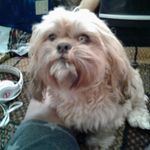 verdell caples - @caplesverdell - Instagram