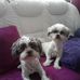 Verena Anders - Facebook
