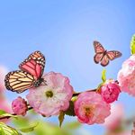Verena Becker - @verena4823 - Instagram