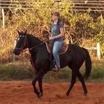 Verena Ferraz - @playhorsebauru - Instagram