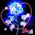 Verena Youssef - Facebook