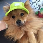 Verity Butler - @vvb1233 - Instagram