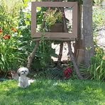 Verlene Watson - Facebook