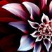 Verlene Wilson Samuel - Facebook