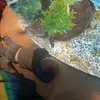 valerie johnson - @valerie.johnson81 - TikTok