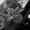 ♡ - @valen.raily - TikTok