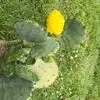 vernaarnold - @verna.arnold - TikTok