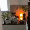Verna Bruce - @verna.bruce6 - TikTok