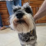 Vern Campbell - @vern_campbell - Instagram