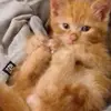 Christopher Vernalls - @christophervernalls - TikTok