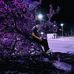 Vernon Jr Collins - Facebook