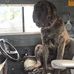 Vern Craig - Facebook