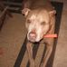 Vern Evans - Facebook