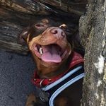 Vern Fleming - @therealvernfleming - Instagram