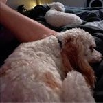 Vern Foster - @vernfoster1 - Instagram