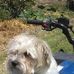 Vern Proctor - Facebook