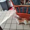 vernaboggess3 - @vernaboggess3 - TikTok