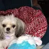 vernaboggess - @verna.boggess - TikTok