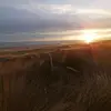 Verna Campbell - @verna.campbell - TikTok