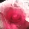 Verna Charles - @verna.charles6 - TikTok