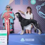 Verna Chen - Facebook