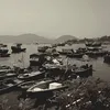 Verena Chow - @2142126222 - TikTok