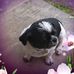 Vernon Compton - Facebook