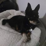 verna cook - @verna_cook123 - Instagram