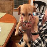 Verna Cope - @verna_cope - Instagram