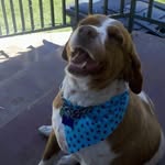 Verna Davis Sorenson - @vernasorenson - Instagram